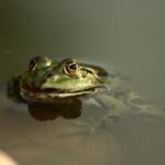 「こんなはずじゃなかった」と酒におぼれる毎日