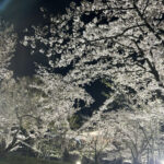 綱渡りのえぶりでぃ