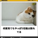 狂おしい刹那の快楽を貪る　命の炎が尽きるまで