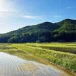 神の領域を犯す実験は賛否の嵐